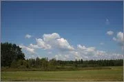 image (1).webp