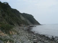криница берег.webp