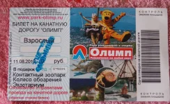 билет в парк.webp