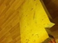 image.webp