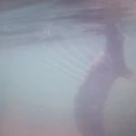 _JsjLw79mLw.webp