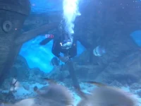 20130810_153159.webp