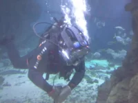 20130810_153242.webp