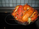 IMG_0742.JPG