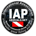 iap копия.webp