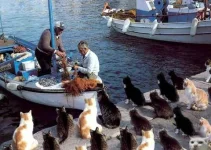 image002[1] (2)-Р.webp