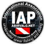 iap копия.webp