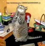 w_PI0evxJn8.webp