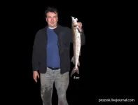 344698_original.webp 344698_original.webp
