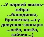 cfAWgoOm7RI.webp