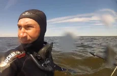 класный кадр.webp