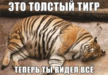 ylbsucmETVk.webp