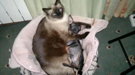 200120122164.webp
