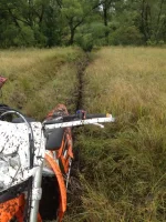 image-09-09-13-09-55-6.webp