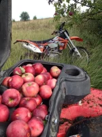 image-09-09-13-09-55-13.webp