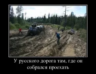049.webp