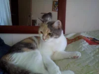 IMG_20130628_105714.webp