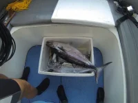 GOPR0036.webp