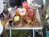 20130915_125847 (640x480).webp