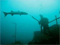 cuda-spear.webp