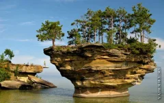 красота 3.webp