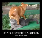 tn.webp