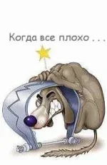 08374_Trt0002.webp