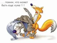 08374_Trt0003.webp