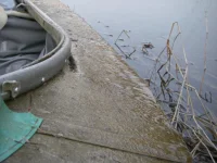 IMGP9534.webp