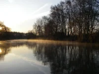 IMGP9551.webp