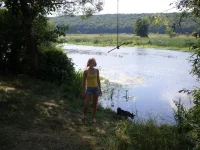 SDC12639.webp
