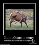 Обними жену.webp