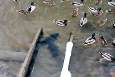 img_0837.webp