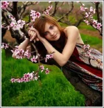 11.webp
