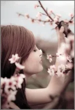 33.webp