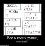 жопа-счастье.webp