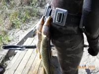 Выезд - 07-08.05.2010 052.webp