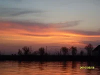 SDC12641.webp