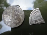 DSC00453_thumb.webp