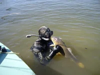 IMGP3892.webp