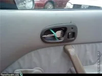 АВТО1.webp
