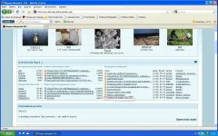 untitled.webp