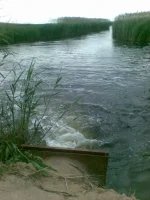 22052010(002).webp