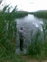 22052010(003).webp