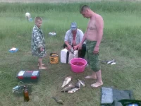 24052010(003).webp