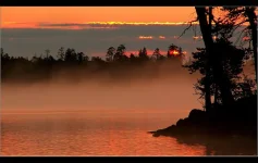 77116.webp