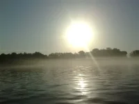 1 (7).webp