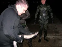 DSCN8467.webp