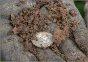 image (4).webp