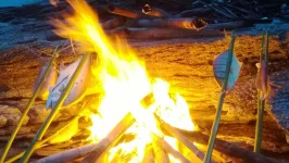 WP_20130920_020.webp